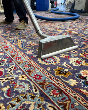 Wool-Area-Rug-Cleaning-Portland